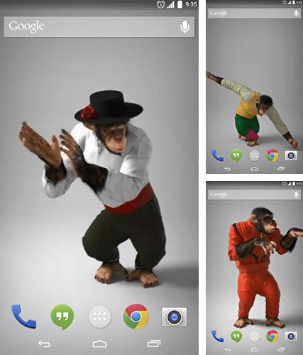 Kostenloses Android-Live Wallpaper Cooler Affe. Vollversion der Android-apk-App Cool monkey für Tablets und Telefone.