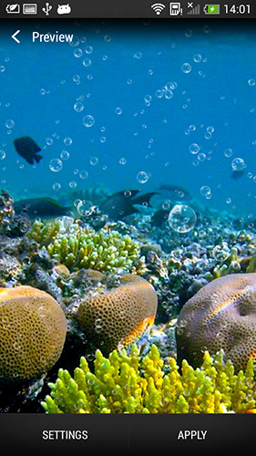 Télécharger le fond d'écran animé gratuit Récif de corail . Obtenir la version complète app apk Android Coral reef pour tablette et téléphone.