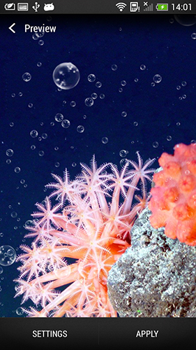 Fondos de pantalla animados a Coral reef para Android. Descarga gratuita fondos de pantalla animados Arrecife coralino.