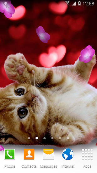  Cute  animals  by Live wallpapers  3D  pour Android  