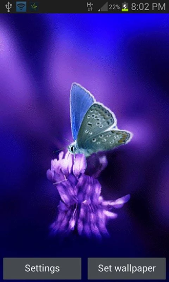 Cute butterfly by Daksh apps