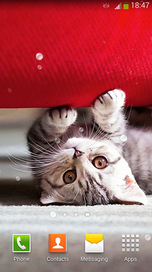 Screenshots von Cute cats für Android-Tablet, Smartphone.