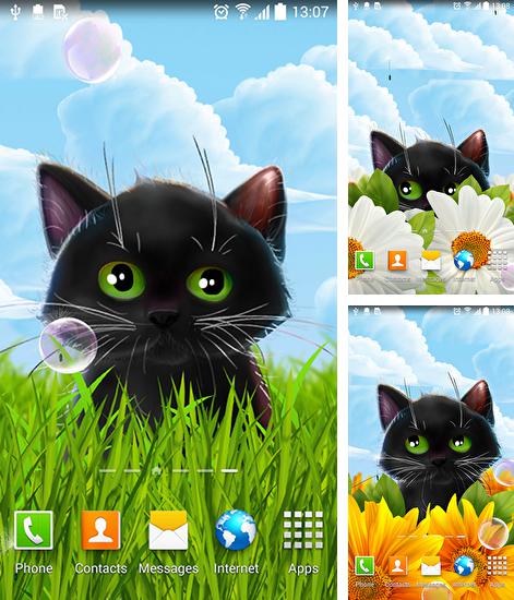 Cute kitten - бесплатно скачать живые обои на Андроид телефон или планшет.