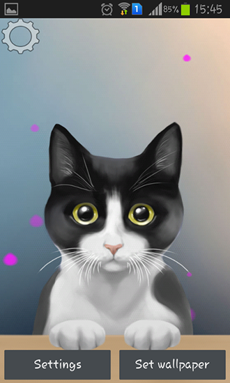Android用cute Kittyを無料でダウンロード アンドロイド用かわいい猫ライブ壁紙