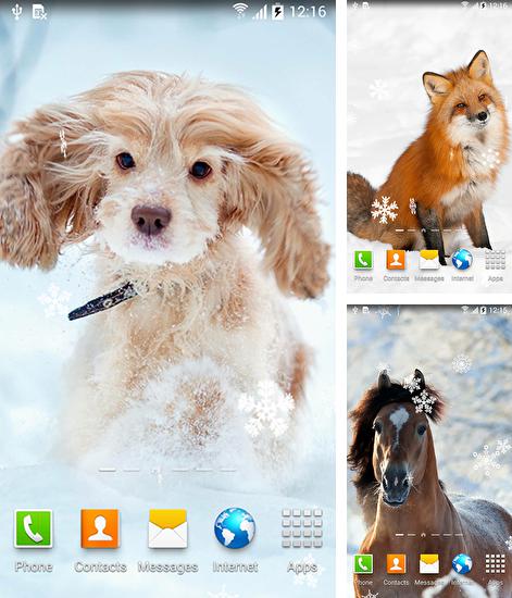 Télécharger le fond d'écran animé gratuit Hiver aimable  . Obtenir la version complète app apk Android Cute winter pour tablette et téléphone.