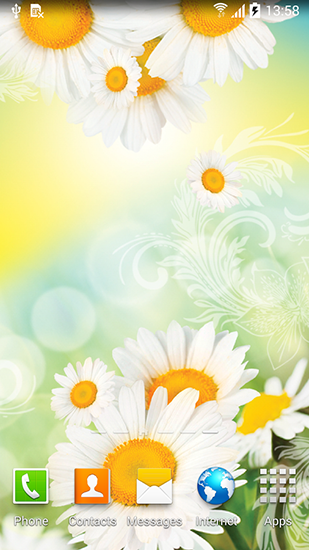 Daisies by Live wallpapers