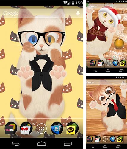 Kostenloses Android-Live Wallpaper Tanzende Katze. Vollversion der Android-apk-App Dancing cat für Tablets und Telefone.