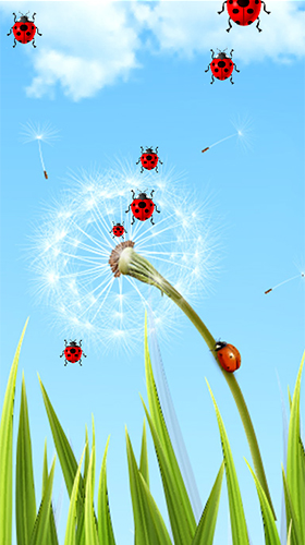 Dandelion by Latest Live Wallpapers live wallpaper for Android. Dandelion  by Latest Live Wallpapers free download for tablet and phone.