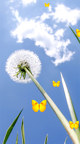 Screenshots of the Dandelion by Latest Live Wallpapers for Android tablet, phone.