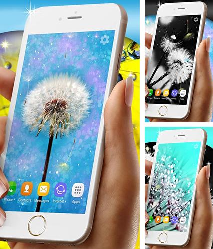 Крім живих шпалерів Кульбаби (Dandelions) на Андроїд, можна скачати інші безкоштовні живі шпалери Android для Huawei P20 Pro.