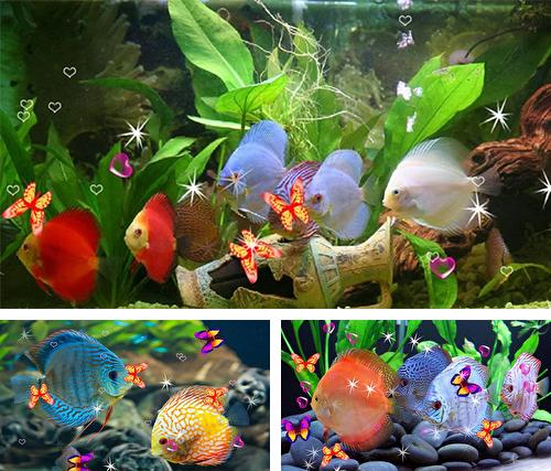 Download live wallpaper Discus 3D for Android. Get full version of Android apk livewallpaper Discus 3D for tablet and phone.
