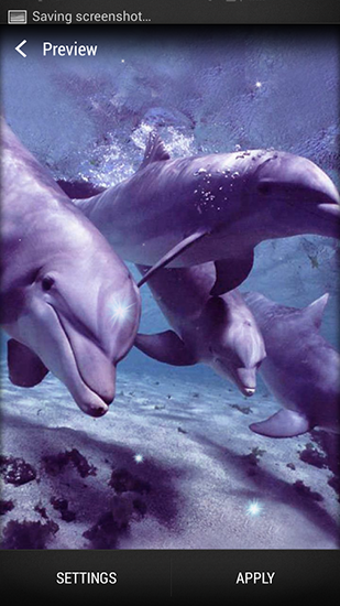 Dolphin für Android spielen. Live Wallpaper Delphin kostenloser Download.