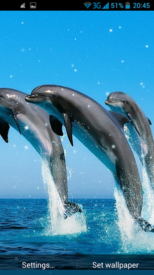 Dolphin 3D live wallpaper for Android. Dolphin 3D free download for tablet  and phone.