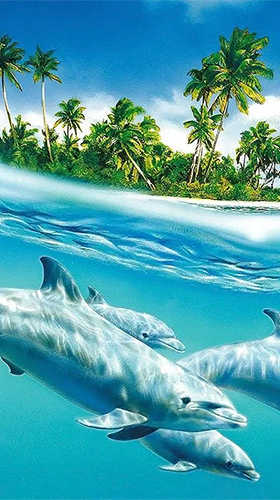 Як виглядають живі шпалери Dolphins by Pro Live Wallpapers.