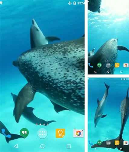 Dolphins HD by Cambreeve - бесплатно скачать живые обои на Андроид телефон или планшет.
