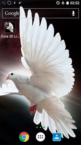Dove 3D live wallpaper for Android. Dove 3D free download for tablet and  phone.