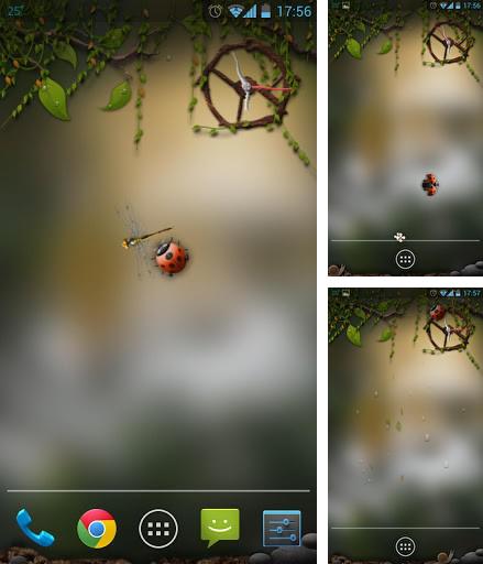 Kostenloses Android-Live Wallpaper Dryade. Vollversion der Android-apk-App Dryad für Tablets und Telefone.