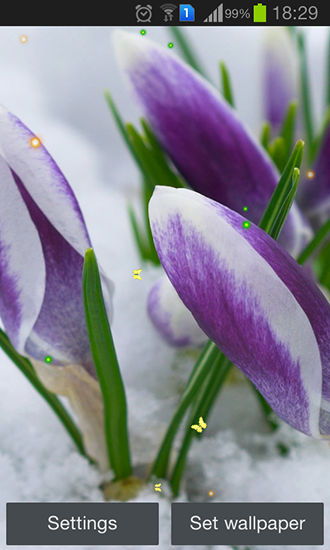 Screenshots of the Early spring: Nature for Android tablet, phone.