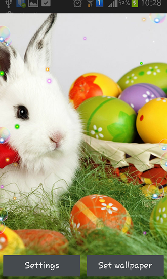 Easter bunnies 2015