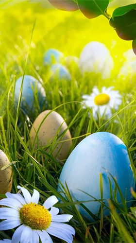 Wallpaper ID 306561  Holiday Easter Phone Wallpaper Egg Easter Egg  Colorful Colors Flower 1440x3120 free download