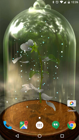 Enchanted Rose für Android spielen. Live Wallpaper Verzauberte Rose kostenloser Download.