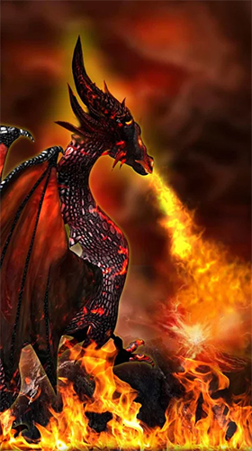 Fire dragon 3D