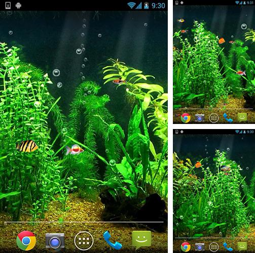 Kostenloses Android-Live Wallpaper Aquarium HD. Vollversion der Android-apk-App Fishbowl HD für Tablets und Telefone.