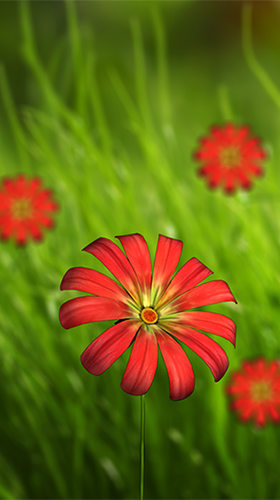 Écrans de Flower 360 3D pour tablette et téléphone Android.