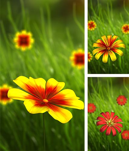 Download live wallpaper Flower 360 3D for Android. Get full version of Android apk livewallpaper Flower 360 3D for tablet and phone.
