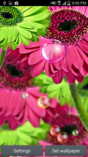 Screenshots von Flowers 2015 für Android-Tablet, Smartphone.