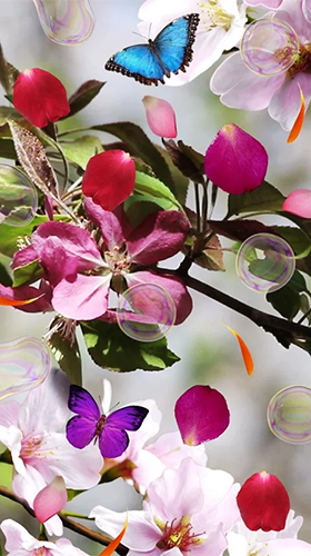 Flowers by Cosmic Mobile Wallpapers für Android spielen. Live Wallpaper Blumen kostenloser Download.