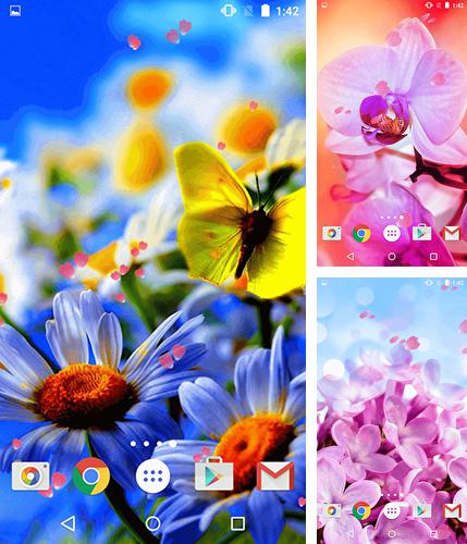 Kostenloses Android-Live Wallpaper Blumen. Vollversion der Android-apk-App Flowers by Phoenix Live Wallpapers für Tablets und Telefone.