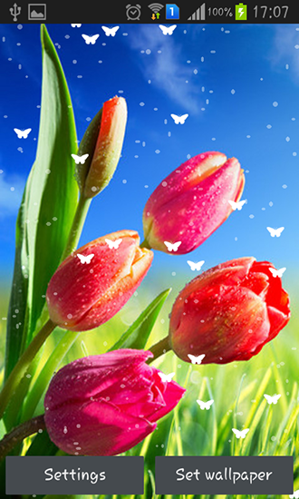Screenshots of the Flowers by Stechsolutions for Android tablet, phone.