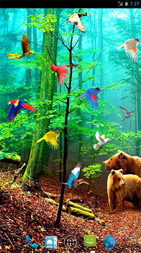 Forest birds