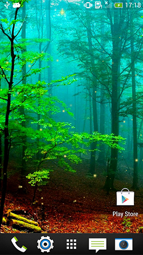 Forest by Wallpapers and Backgrounds Live