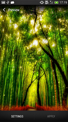 Screenshots of the Forest by Wallpapers and Backgrounds Live for Android tablet, phone.