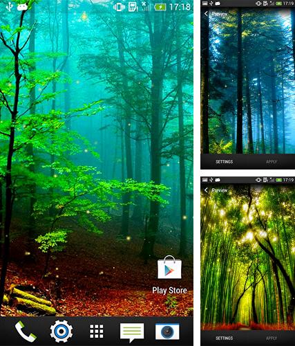 Kostenloses Android-Live Wallpaper Wald. Vollversion der Android-apk-App Forest by Wallpapers and Backgrounds Live für Tablets und Telefone.