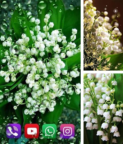 Forest lilies - бесплатно скачать живые обои на Андроид телефон или планшет.