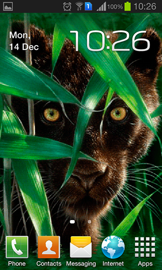 Forest panther - бесплатно скачать живые обои на Андроид телефон или планшет.