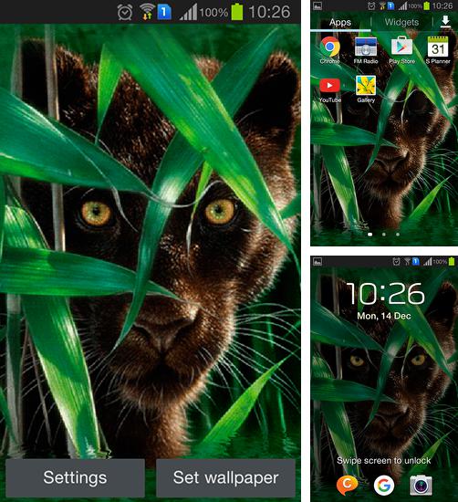 Дополнительно к живым обоям на Андроид телефоны и планшеты Небесный сад, вы можете также бесплатно скачать заставку Forest panther.