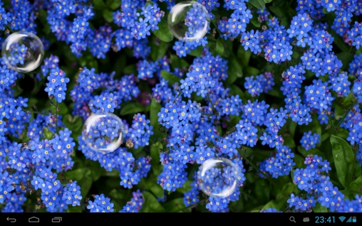 Screenshots of the Forget-me-not for Android tablet, phone.