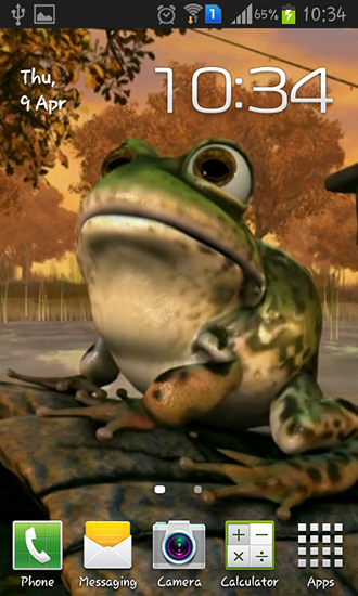 Frog 3D