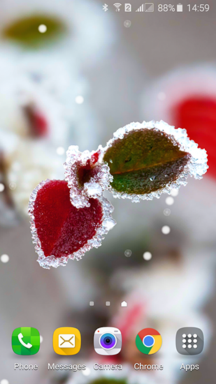 Frozen beauty: Winter tale - безкоштовно скачати живі шпалери на Андроїд телефон або планшет.