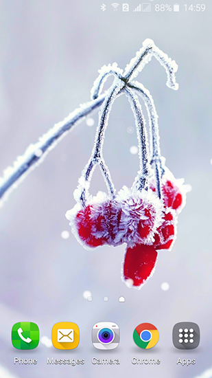 Frozen beauty: Winter tale für Android spielen. Live Wallpaper Gefrorene Schönheit: Wintermärchen kostenloser Download.