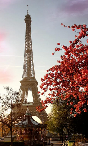 Download livewallpaper Sunny Paris for Android. Get full version of Android apk livewallpaper Sunny Paris for tablet and phone.