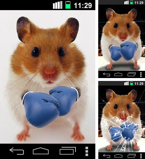 Funny hamster: Cracked screen - бесплатно скачать живые обои на Андроид телефон или планшет.