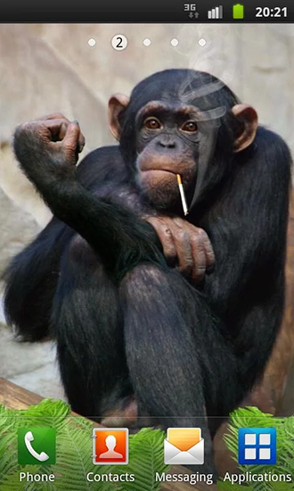 Funny monkey - бесплатно скачать живые обои на Андроид телефон или планшет.