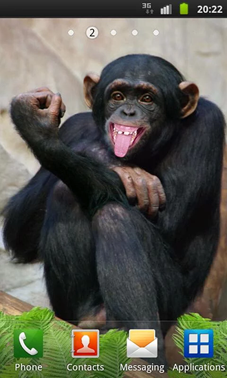 Funny monkey - скачать бесплатно живые обои для Андроид на рабочий стол.