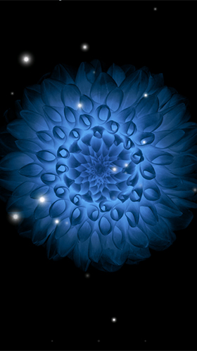 Galaxy flowers live wallpaper for Android. Galaxy flowers free download for  tablet and phone.