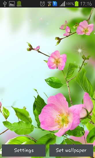 Gentle flowers für Android spielen. Live Wallpaper Sanfte Blumen kostenloser Download.